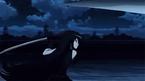 Pertarungan pedang yang memukau Pertarungan pedang anime